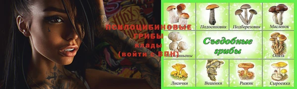 дмт Алексеевка