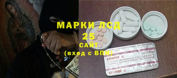 прущие грибы Абдулино