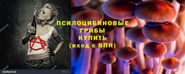дмт Алексеевка